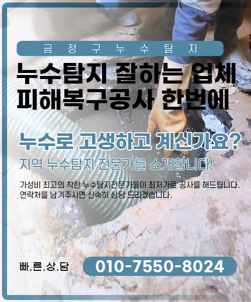 누수탐지 잘하는 업체 피해복구공사 한번에 모바일 비주얼 0